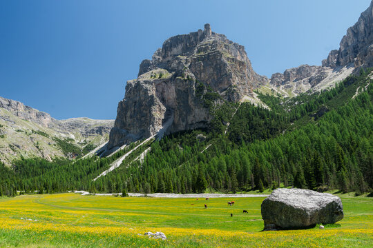 Vallunga Valley in Selva, Dolomites, Italy