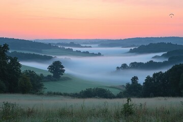 Fototapeta premium Foggy valley sunrise with paraglider, rolling hills, meadow foreground