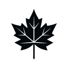 Silhouette icon vector art illustration of a sycamore leaf.eps