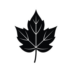 Silhouette icon vector art illustration of a vine leaf.eps