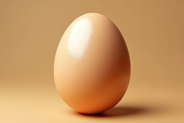 Reflective Chicken Egg