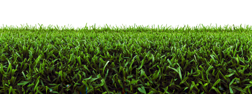 Lush Green Grass Field with White Sports Lines – High-Resolution PNG