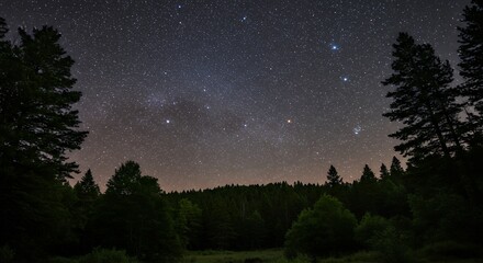 Obraz premium Starry Night Sky over Forest Silhouette