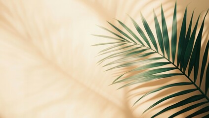 Fototapeta premium Elegant Palm Leaf Shadow on a Beige Background