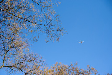 An airplane soars above golden autumn trees under a bright blue sky, capturing a serene moment in nature.