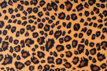 Close up of leopard fur texture for background concept. 