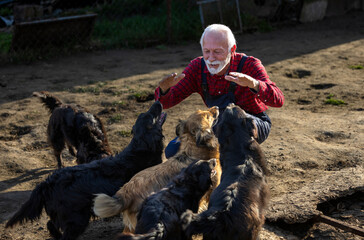 Senior man playing with dogs in shelter for abandoned animals