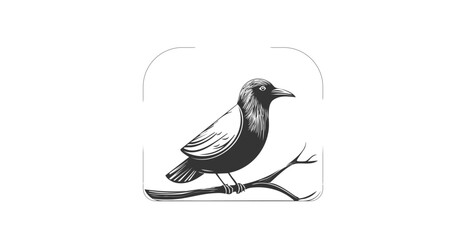 simple bird logo vector icon illustration, line art, one line art bird