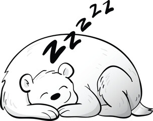 polar bear sleeping
