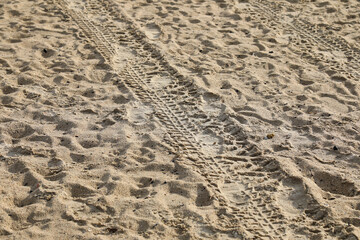 Tracks of a tire on a sandy beach