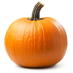 Photograph of a pumpkin isolated on a white background.