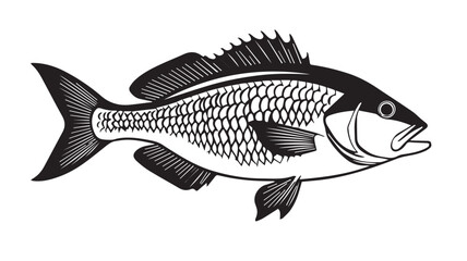 Fish silhouette on a white background, isolated tuna illustration with aquatic and marine theme