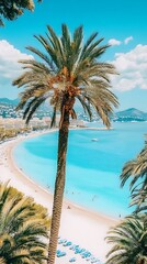 Coastal Paradise Palm Beach View.