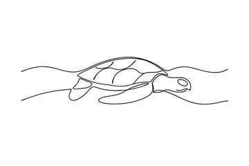 Obraz premium Sea Turtle Line Art Drawing, Ocean Wildlife, Aquatic Life