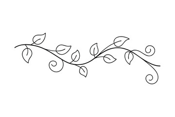 Elegant Swirling Vine Branch with Simple Leaves Design Element
