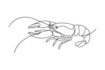 SingleLine Crayfish Drawing Aquatic Crustacean Art Minimalist Design
