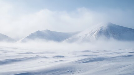 A whiteout blizzard covering the Arctic landscape.