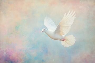 Fototapeta premium dove of peace