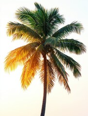 Golden Hour Palm Tree: Tropical Paradise at Sunset