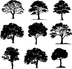 Set of silhouette clipart of a large oak tree, Big collection of tree silhouettes isolated on white background.