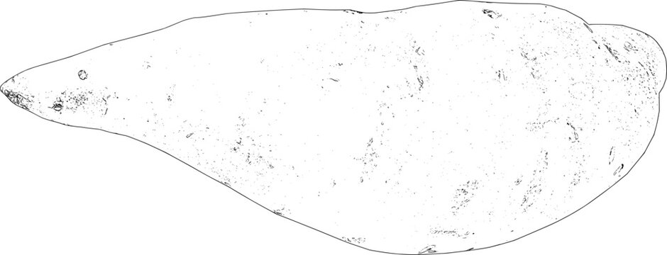 outline sweet potato, black and white clip art preview