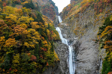 落差日本一。紅葉真っ盛りの称名滝