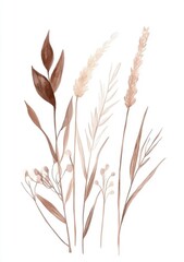 Watercolor botanical illustration, isolated on a white background, with neutral colors, simple, a single branch with leaves and buds