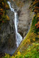 Obraz premium 落差日本一。紅葉真っ盛りの称名滝