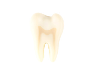 Close-up of an isolated white molar tooth with a transparent background
