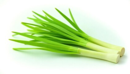 Fototapeta premium Aromatic lemongrass stalks isolated on white background, green, lemon