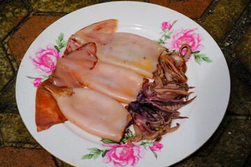 Three cleaned squids on a plate. Raw seafood washed and served on a white plate for sashimi. Raw squid. Ingredients for cooking. Seafood dishes and cuisine.