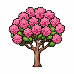 Fototapeta premium crape myrtle tree with flowers