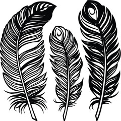 Feathers silhouette set vector image (34).eps