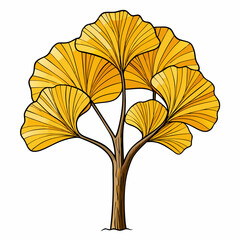 ginkgo tree vector