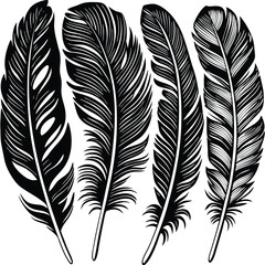 Obraz premium Feathers silhouette set vector image (38).eps