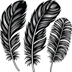 Obraz premium Feathers silhouette set vector image (2).eps