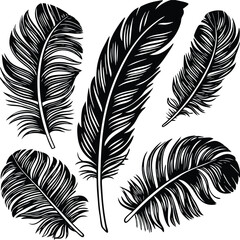 Obraz premium Feathers silhouette set vector image (6).eps