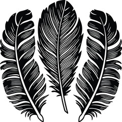 Obraz premium Feathers silhouette set vector image (17).eps