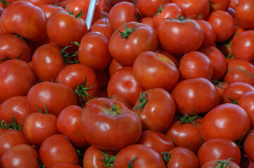 Vibrant red tomatoes piled high at a bustling market showcasing the harvest season's freshest produce