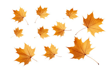 Falling Autumn leaves isolated on transparent background. Png