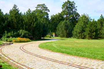 A paved summer walking path in a public park