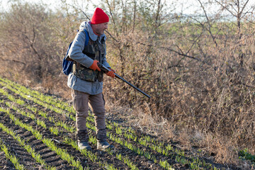 Mature hunter man holding a shotgun and walking through a field