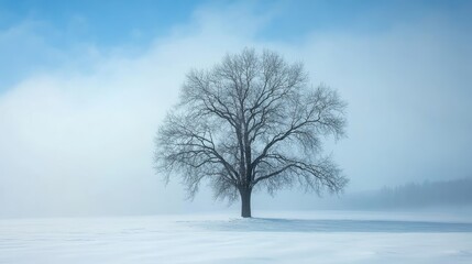 Lone Tree in Misty Winter Wonderland.