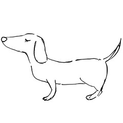 手描きの犬の塗り絵のイラスト　ダックスフント