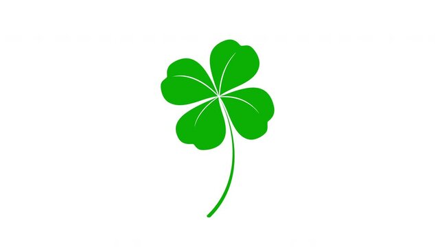 Animation of green four leaf clover isolated on white background. Happy Saint Patrick's day template for composite and presentation.
