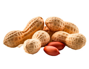 Varios cacahuetes sobre fondo transparente