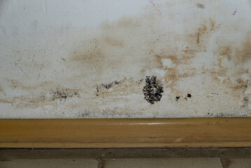 Flooding rainwater or floor heating systems, causing damage, peeling paint and mildew.