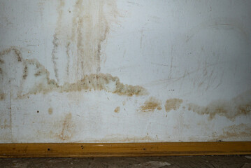 Flooding rainwater or floor heating systems, causing damage, peeling paint and mildew.