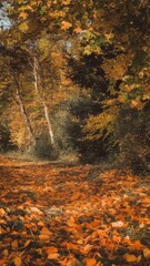 Autumn background with leaves