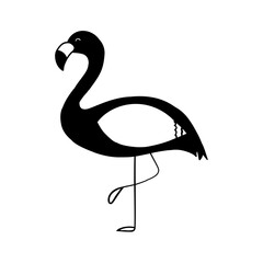 Vector Illustration of a flamingo, hand drawn illustration